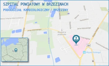 PODODDZIAŁ KARDIOLOGICZNY - SZPITAL POWIATOWY W BRZEZINACH - UL. MARII SKŁODOWSKIEJ-CURIE 6,  BRZEZINY